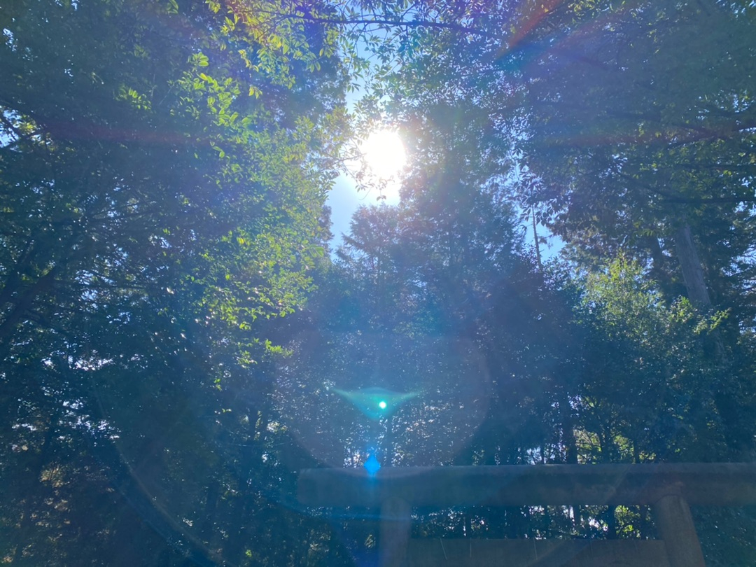 伊賀一宮敢國神社 (3).jpg