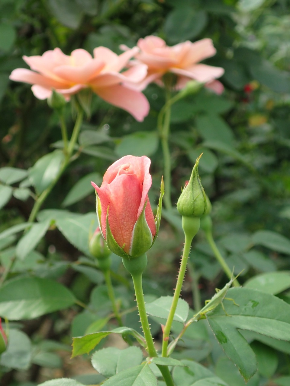 PA121308.JPG