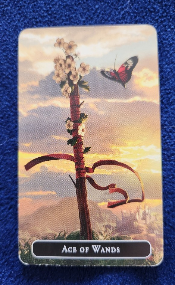 20240402_093638 (002).jpg