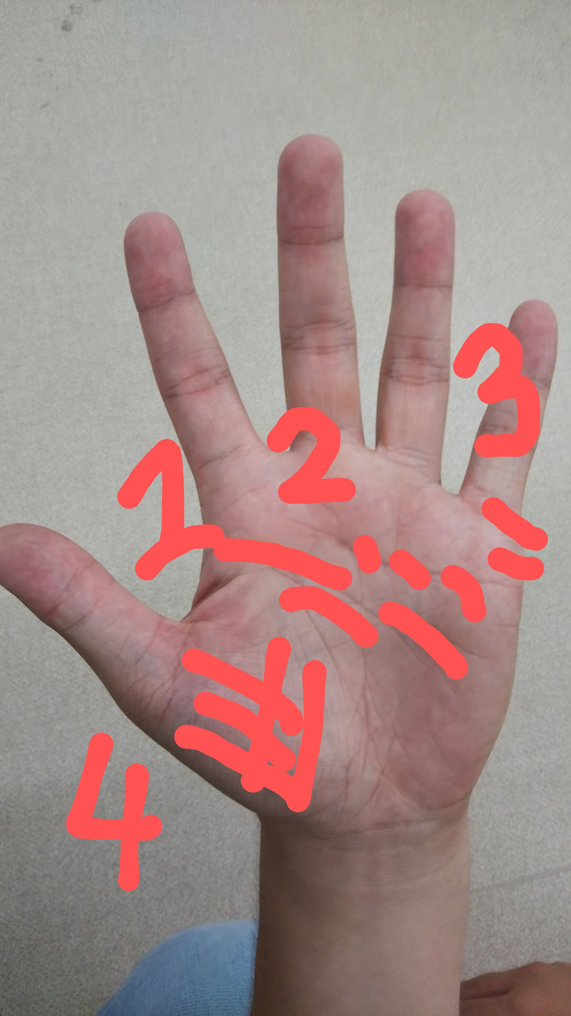 手相１.jpeg