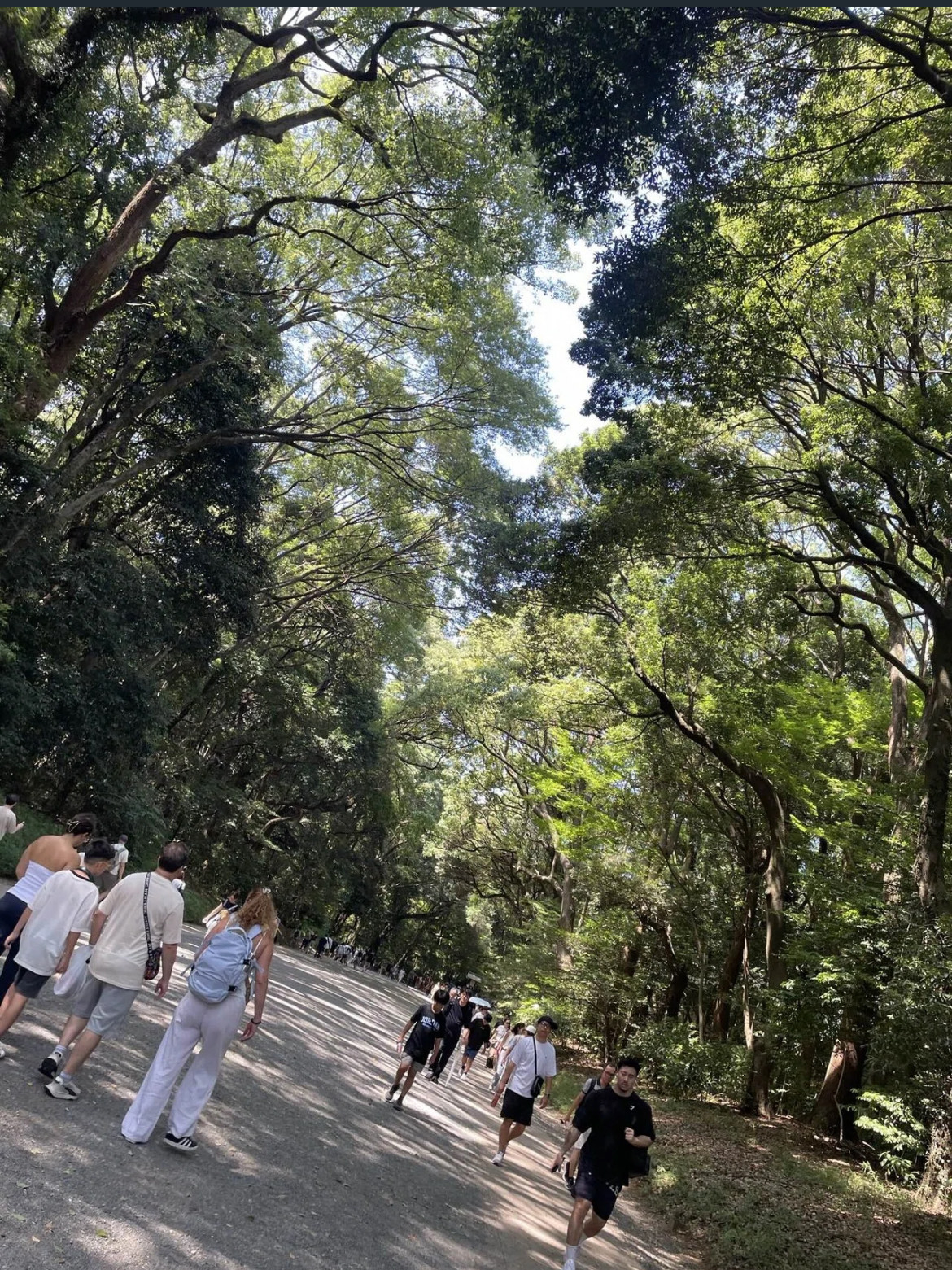 IMG_0131.jpeg