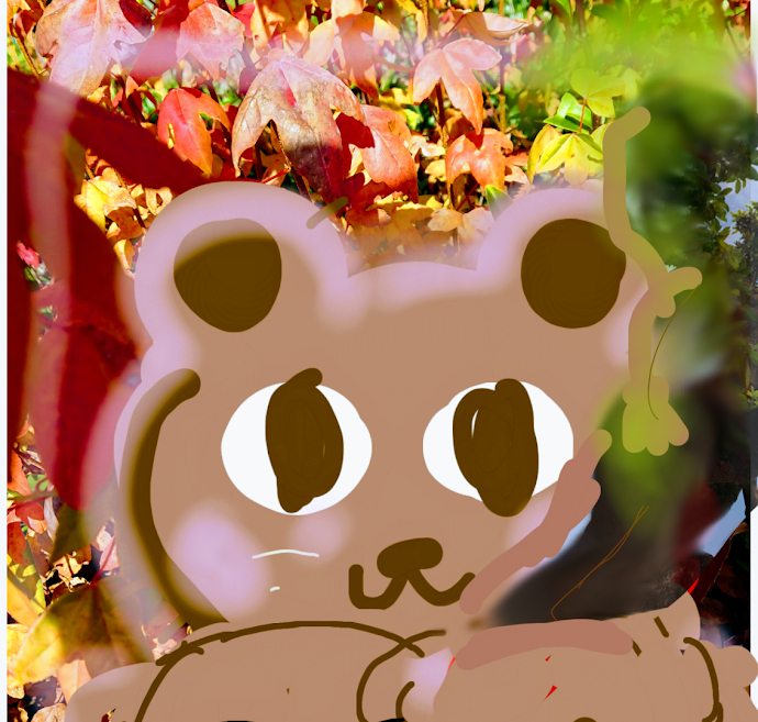 sketch-1663749087631.png