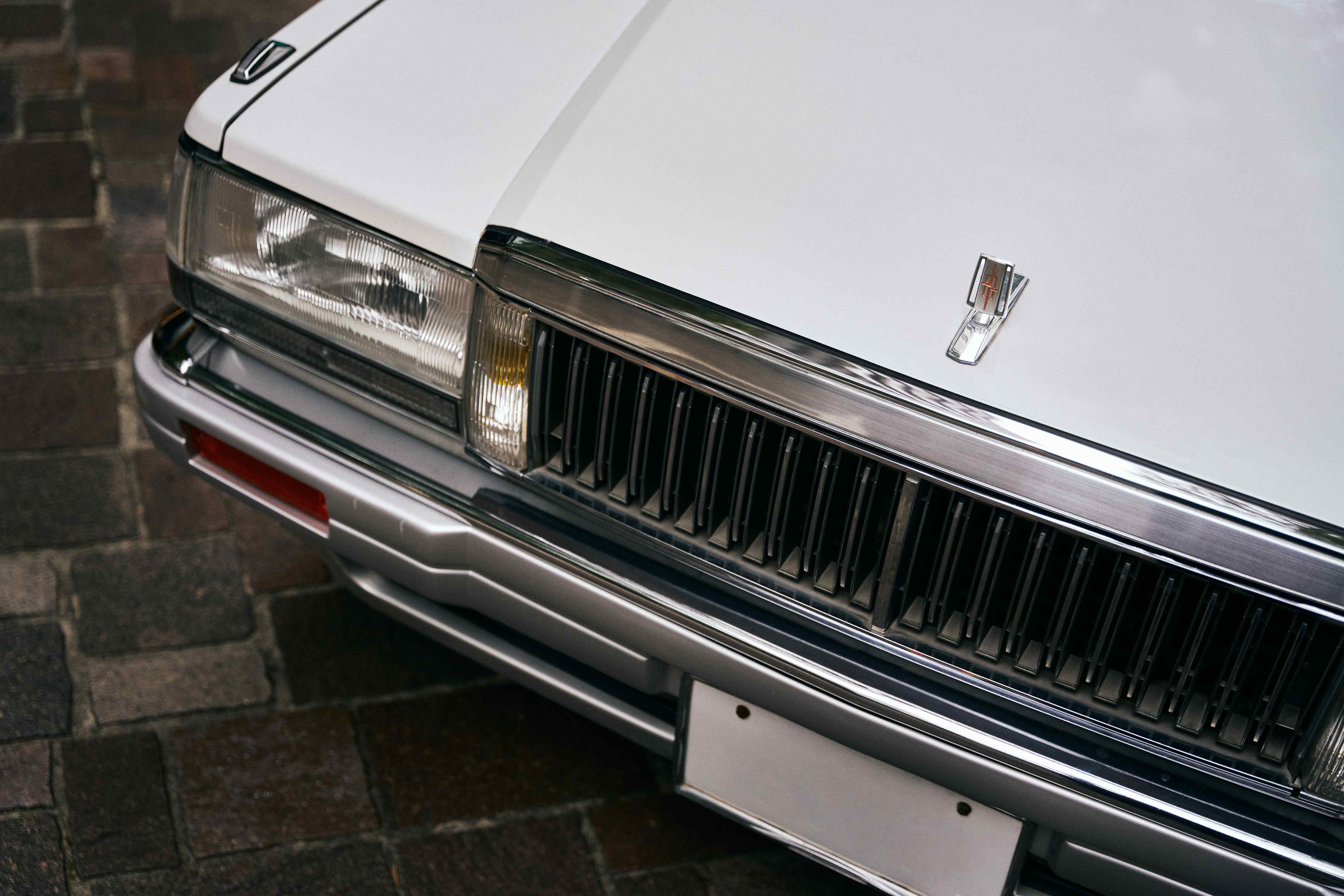 AR503486_2.jpg
