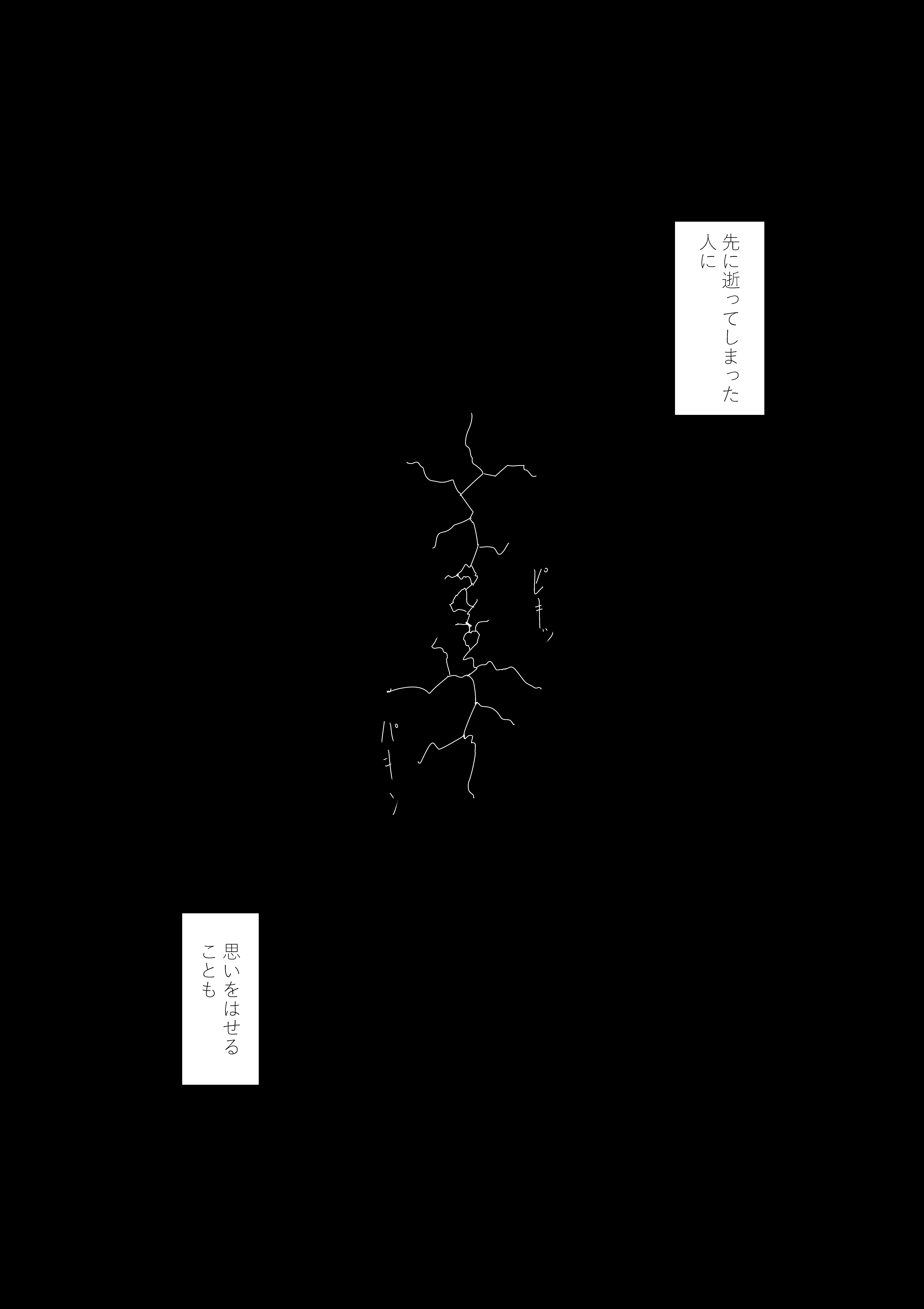 P5.jpg