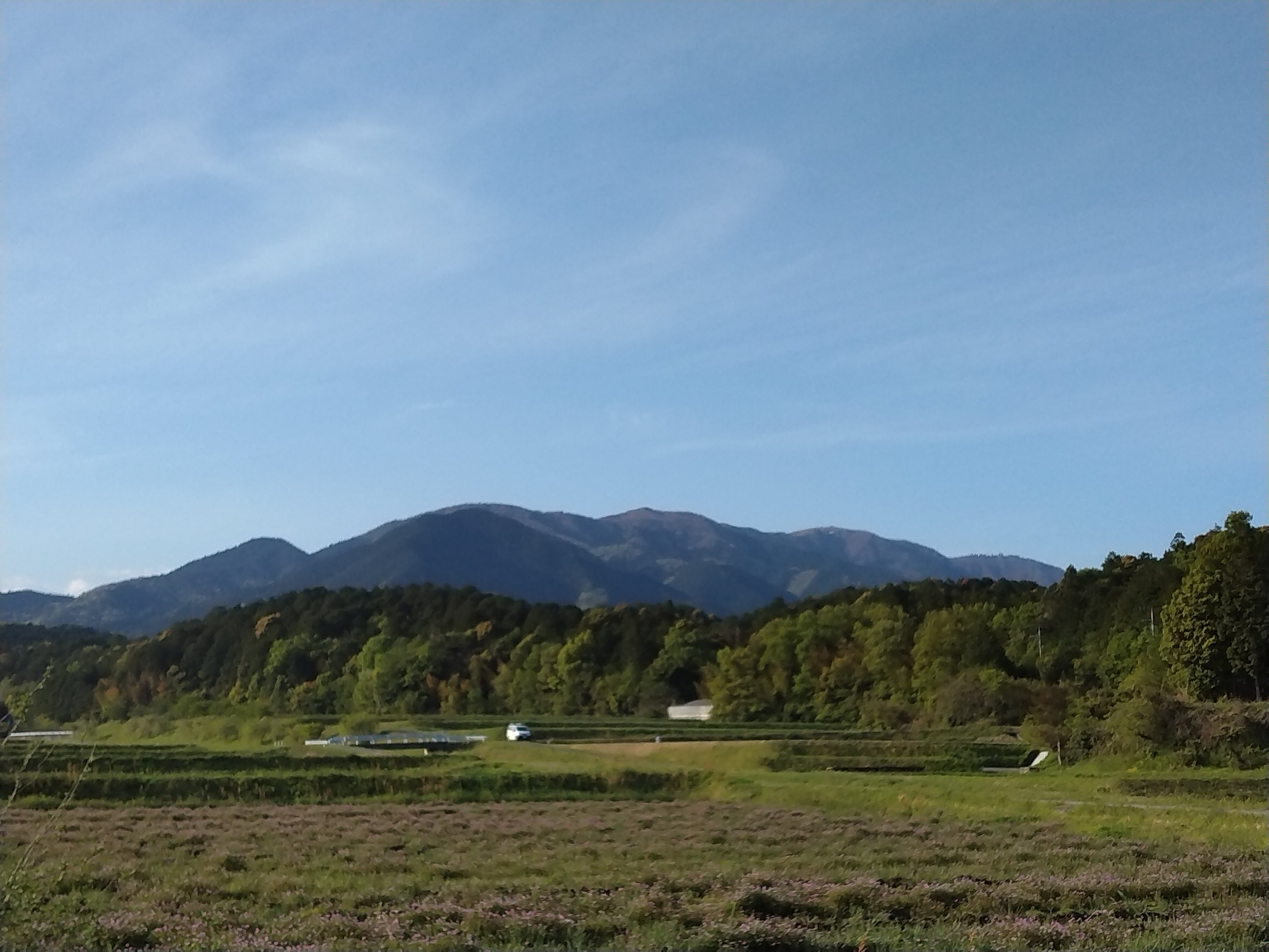748F398C-710B-48CF-B76B-DCB974F70760.jpeg