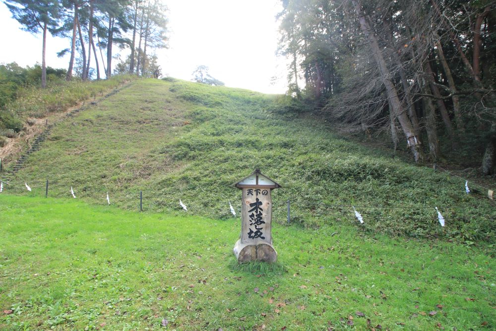Photo14.JPG
