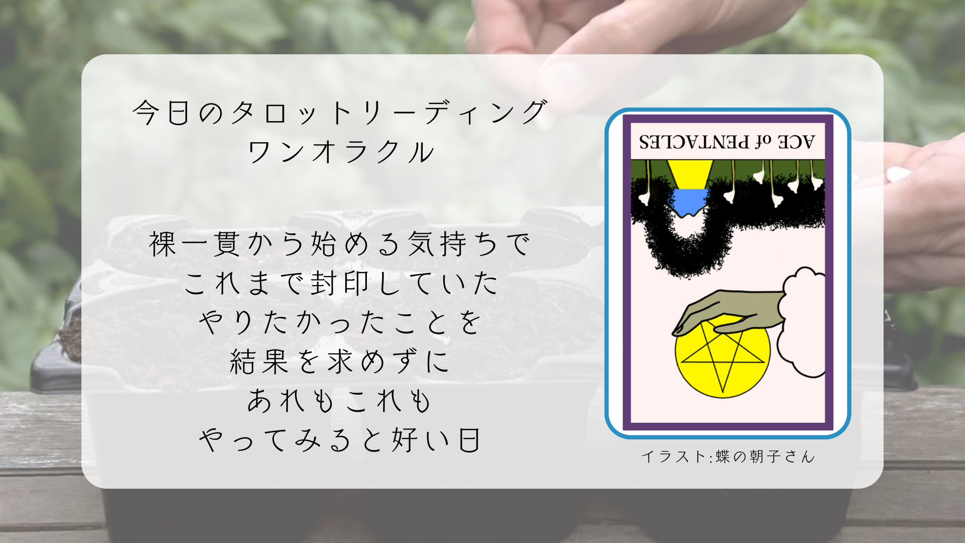 2024.10.17 ペンタウルのエース逆.png
