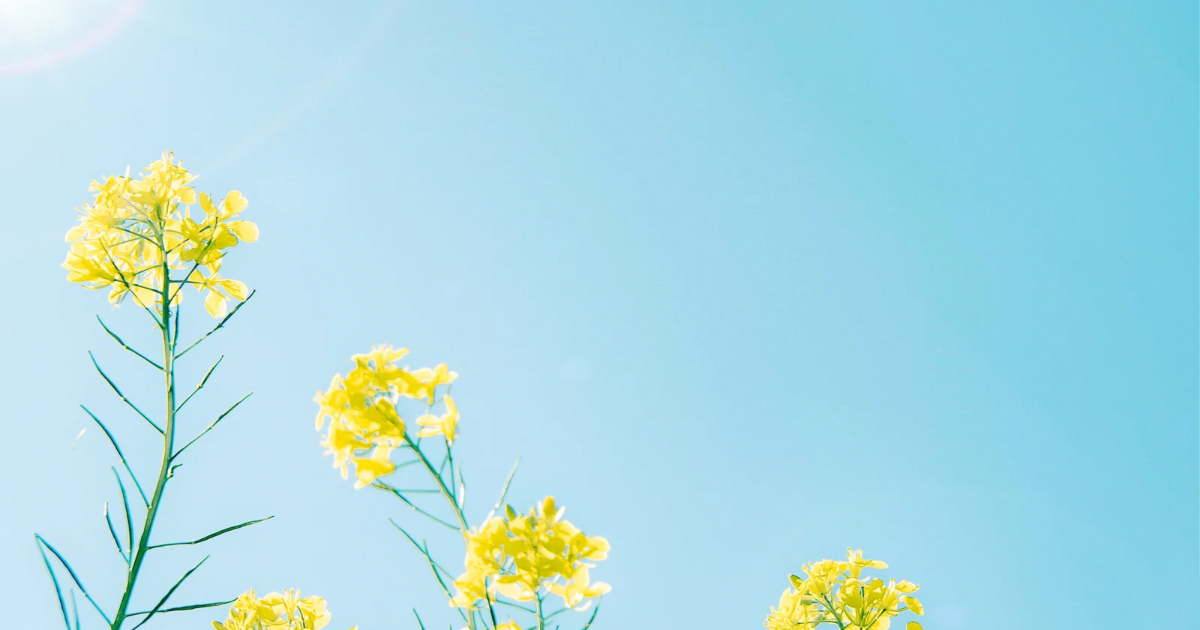 79524F29-FF0E-4D4B-B04E-57200E821C89.png
