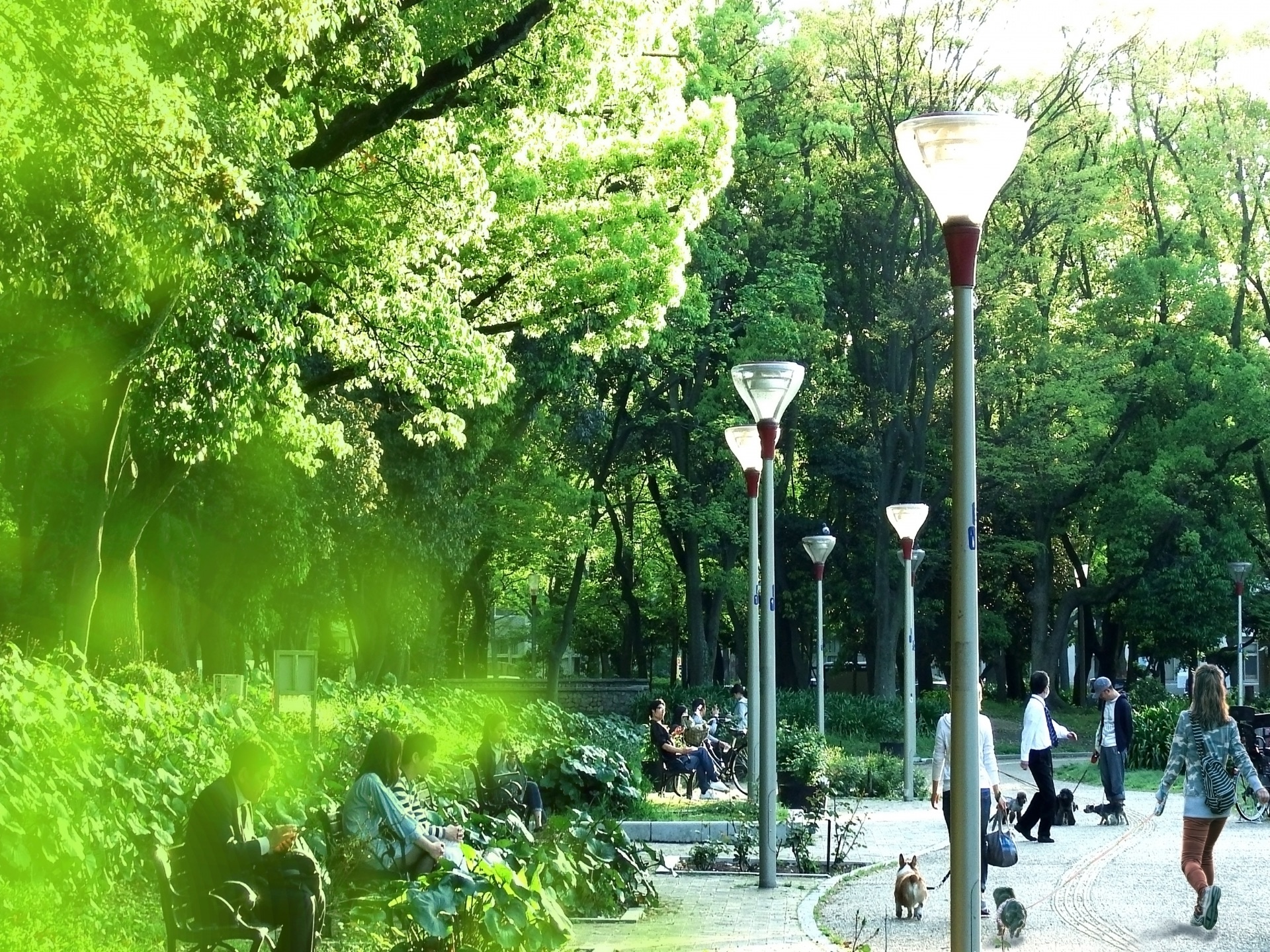 32EF09D1-BAD5-459B-8DD9-363BBAF68F08.jpeg