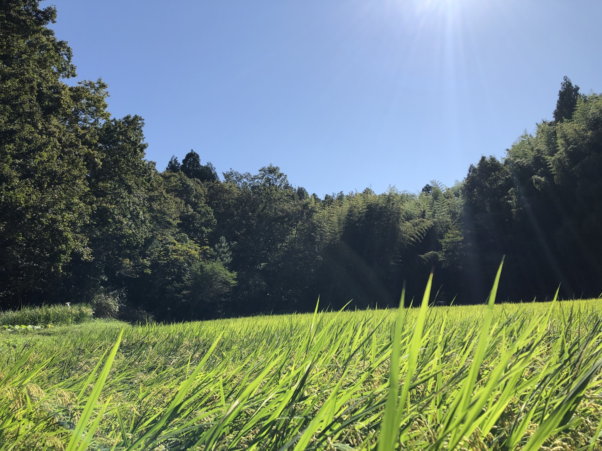 7F53309B-0418-4753-BE5A-7F67E4481AA3.jpeg