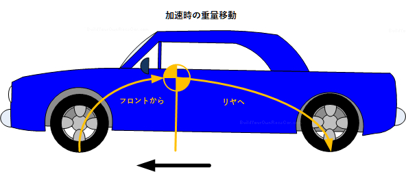WT1-2.png