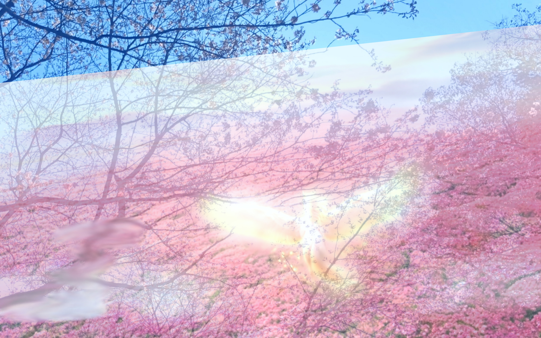 sketch-1774394250593.png