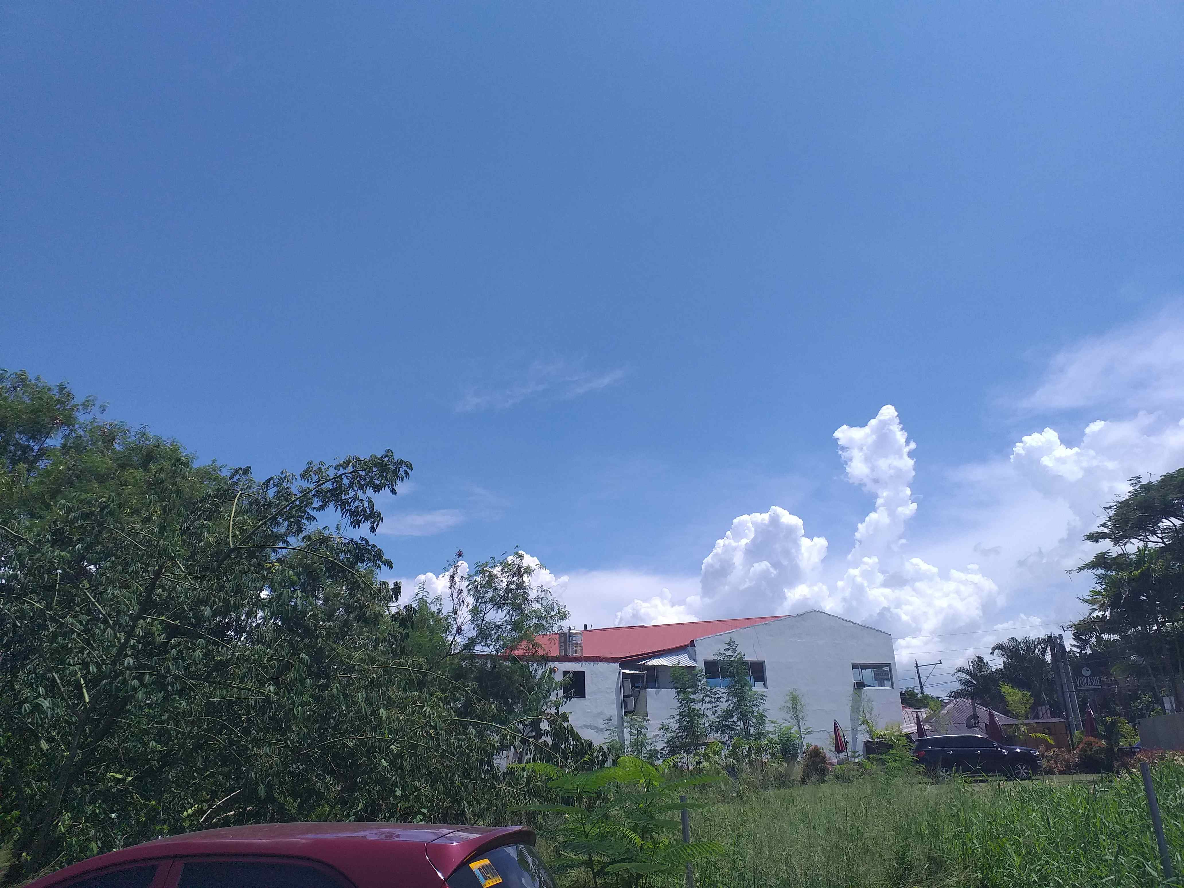 20200906_130015.jpg