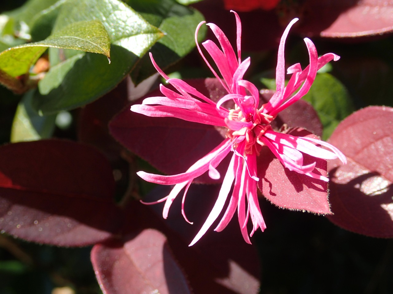 PA220670.JPG
