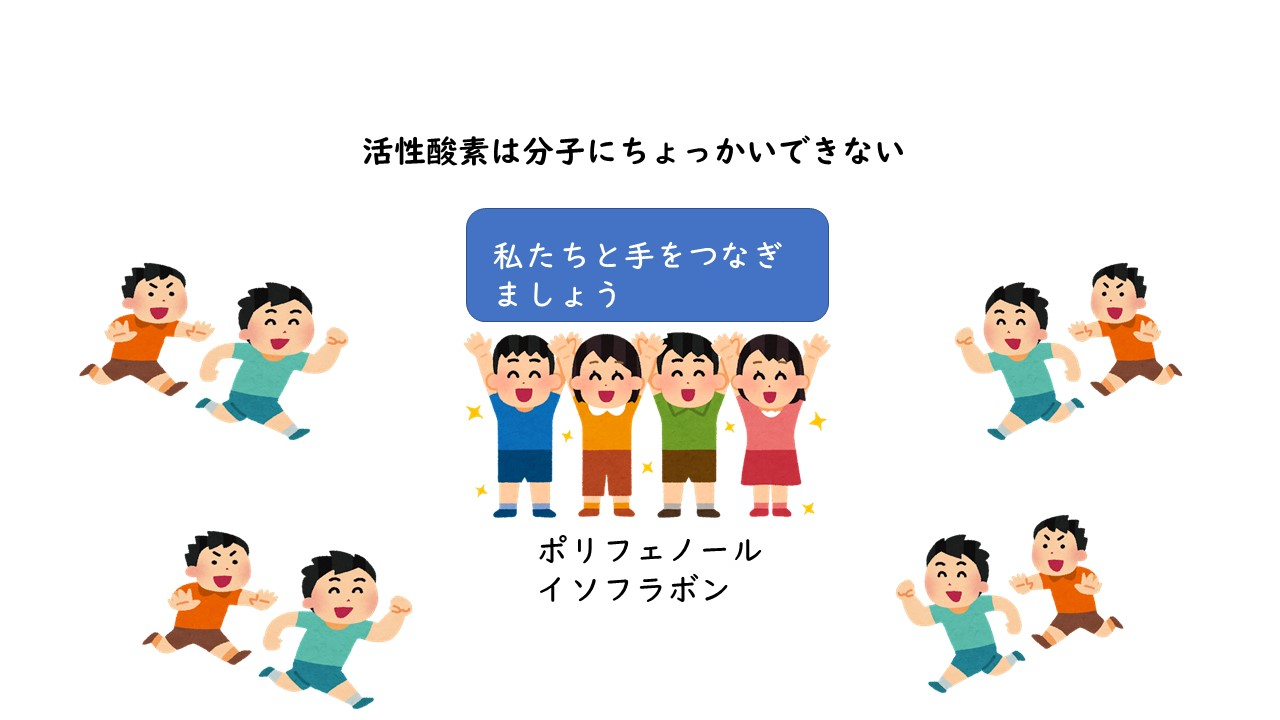 ポリフェノール.jpg