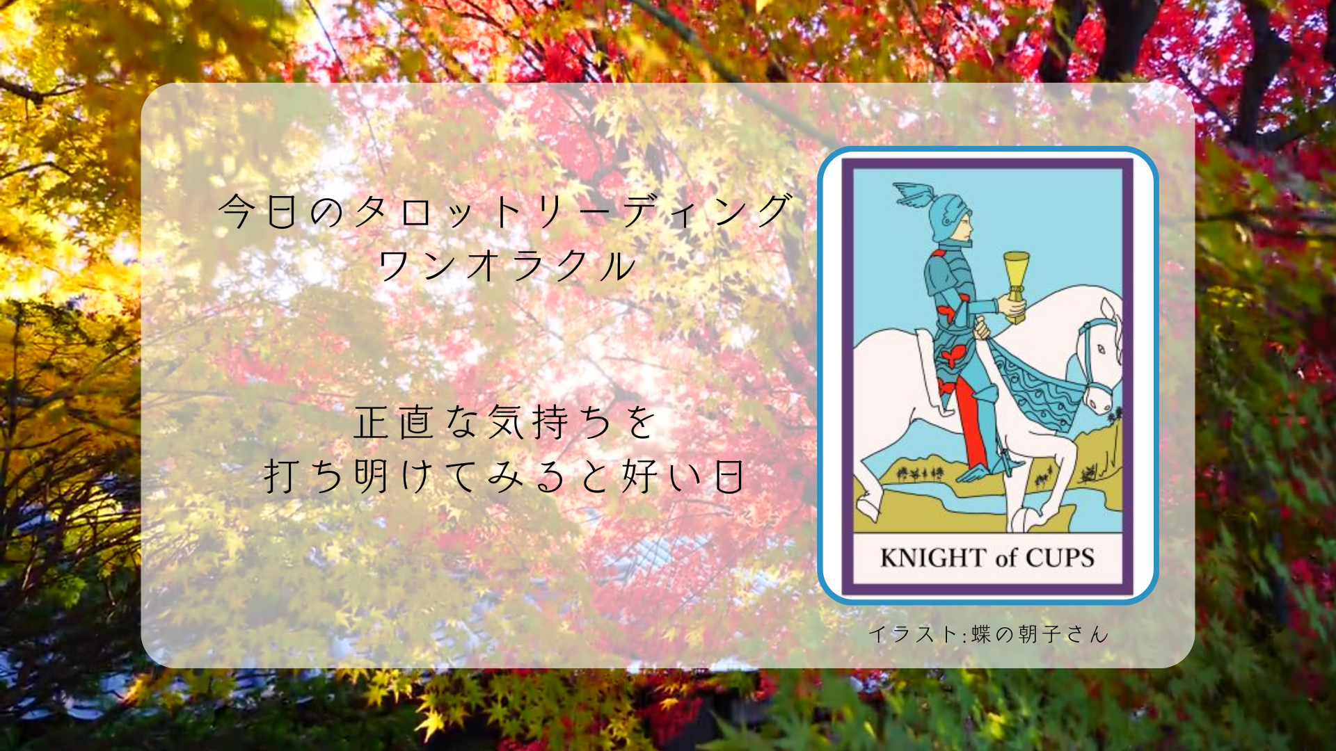 2025.11.3 カップのナイト.png