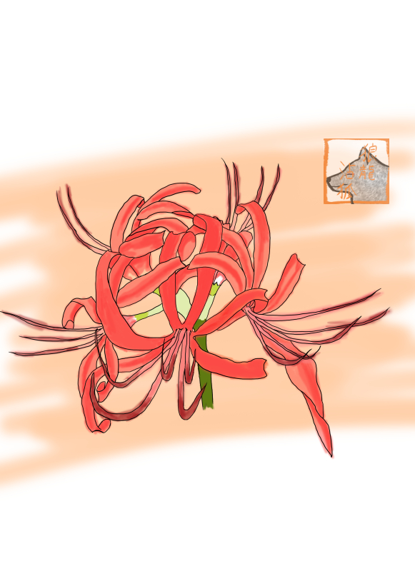 ヒガンバナ（水彩画風ブログ用）.png