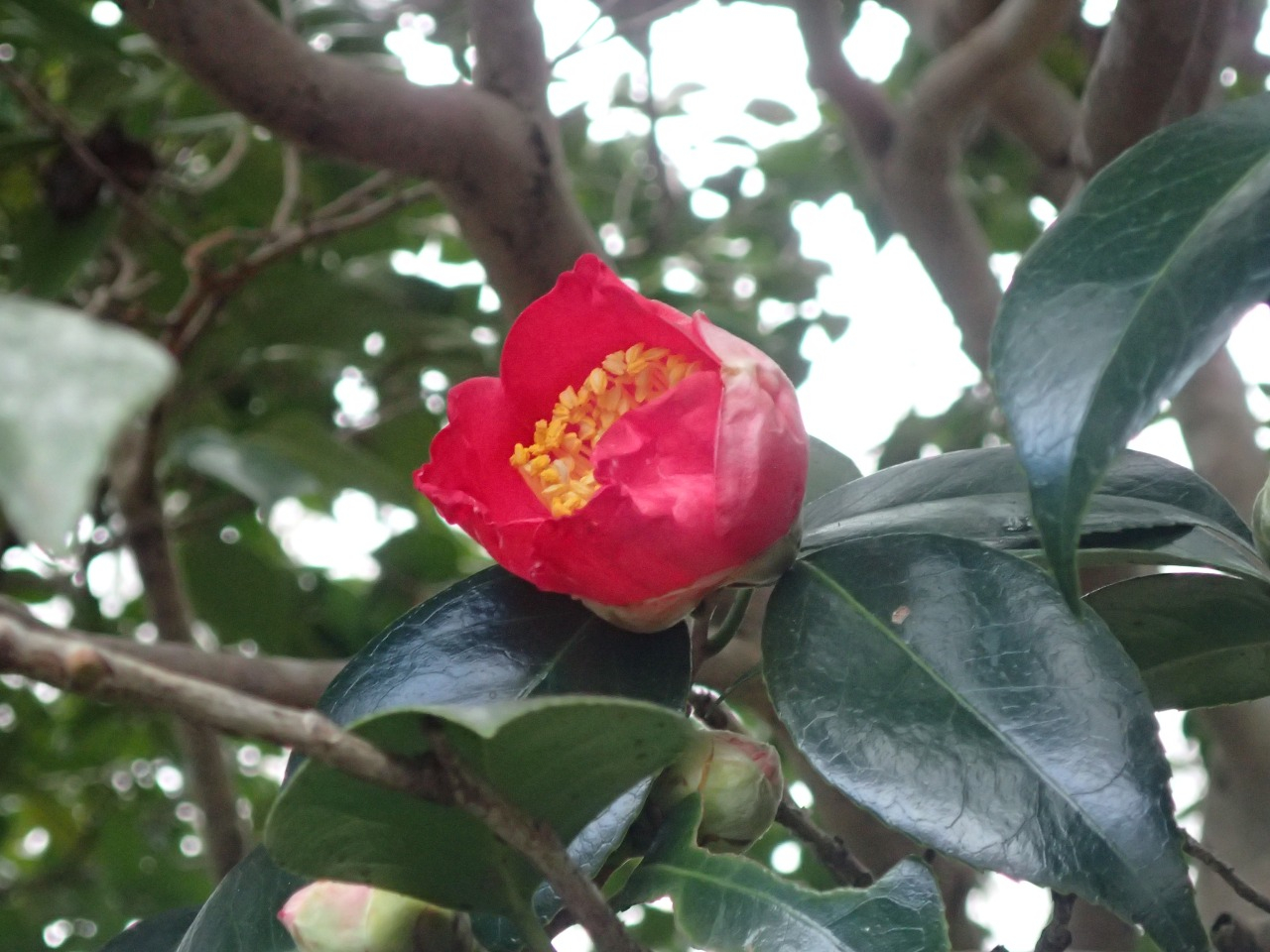 PC220329.JPG