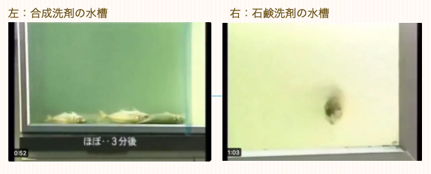 スクリーンショット 2024-07-15 12.38.41.png