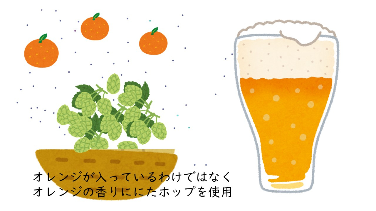 オレンジホップ.jpg