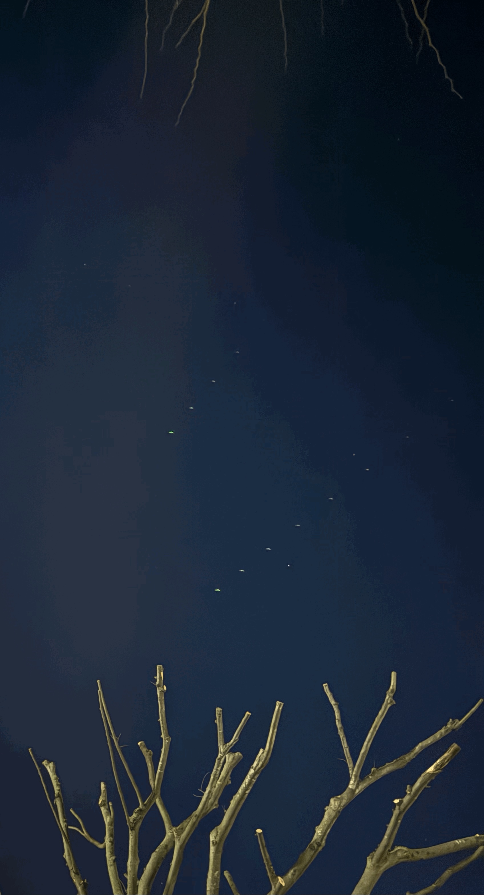 tempImagepgunHn.gif