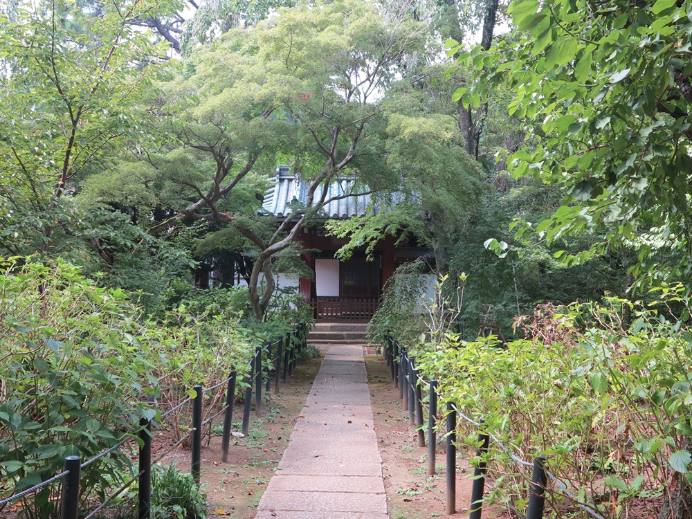 本土寺004.JPG