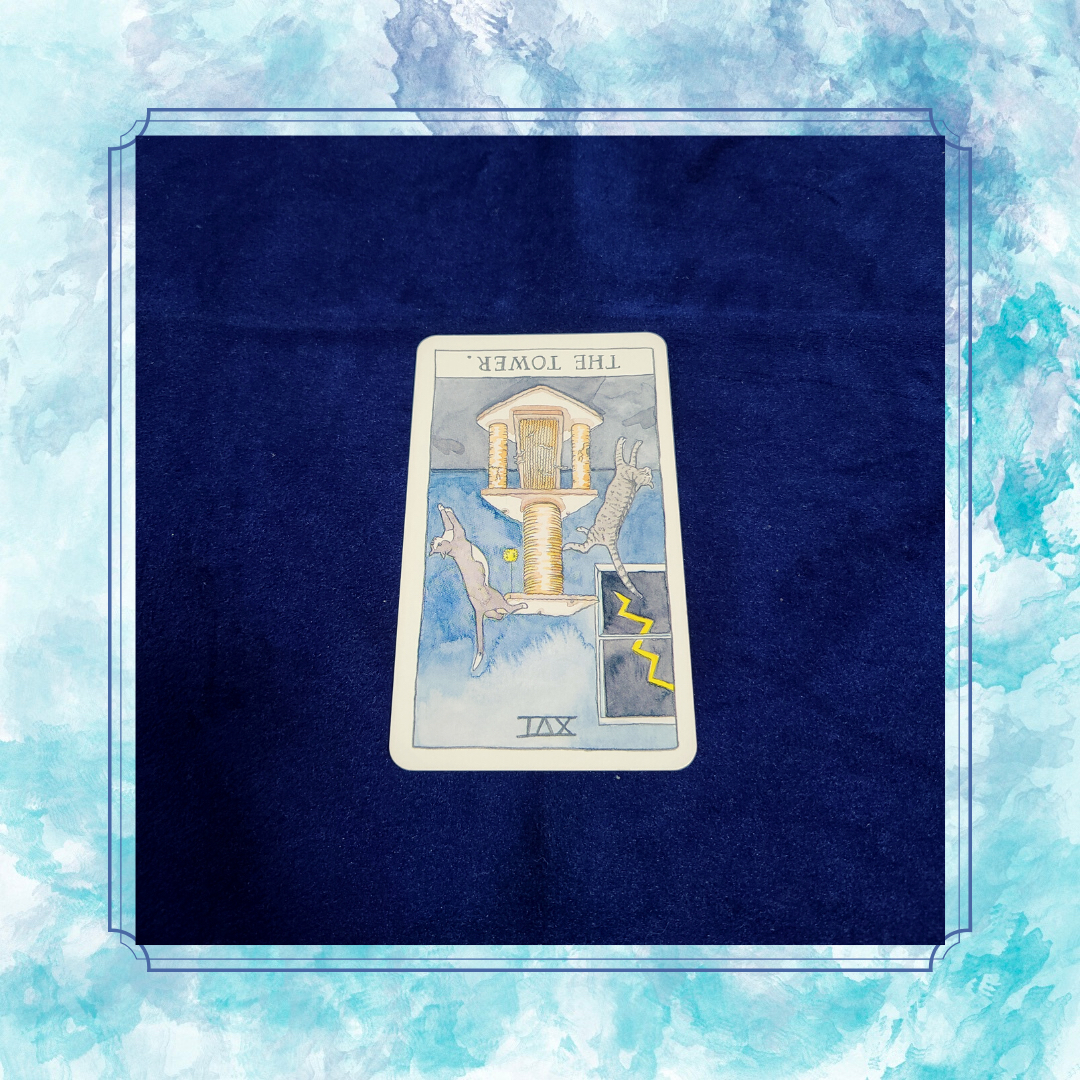 5D20ECC6-34F3-472A-8E57-FBCE872712AE.png