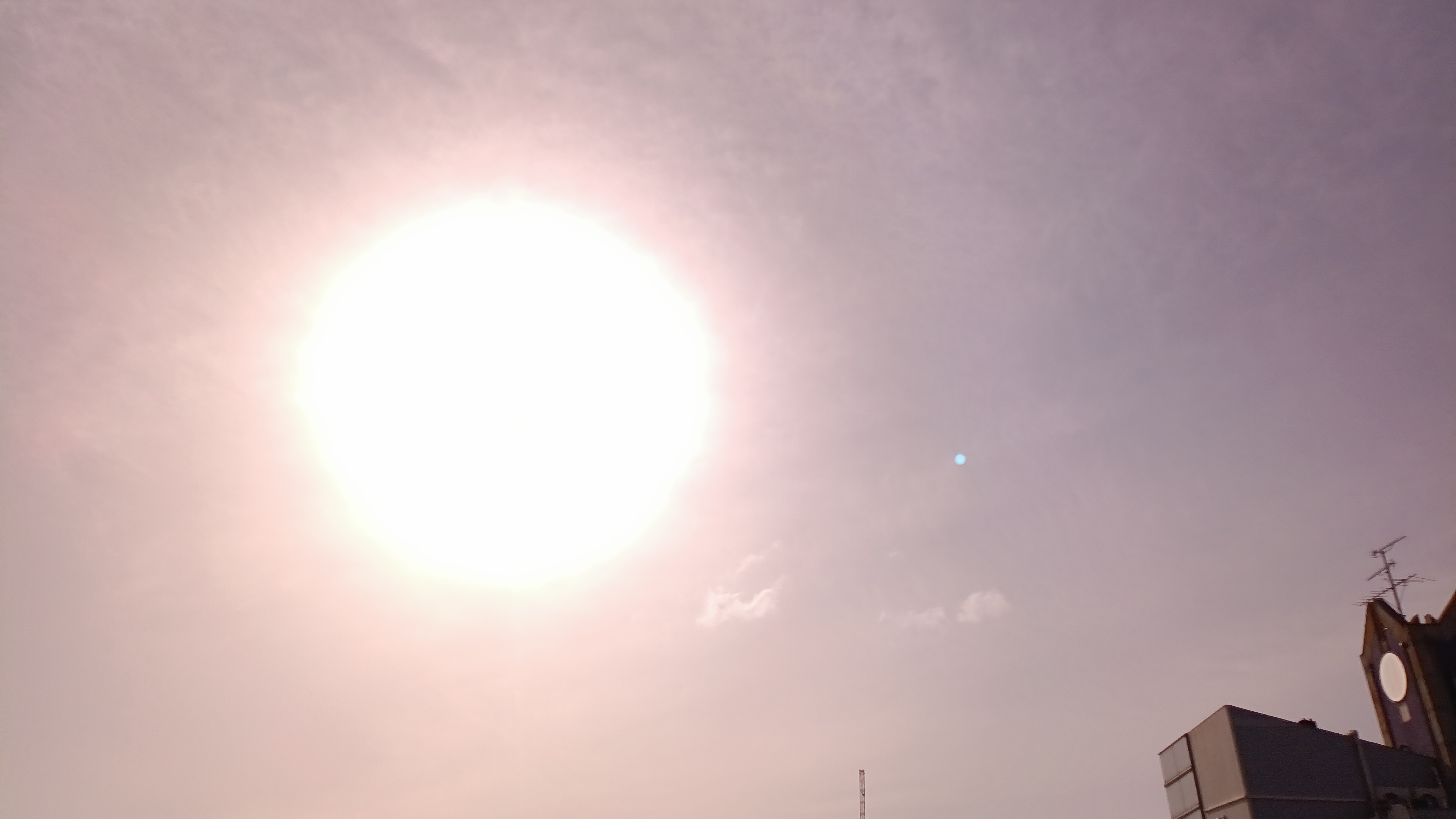 IMG_20250507_073735_207.jpg