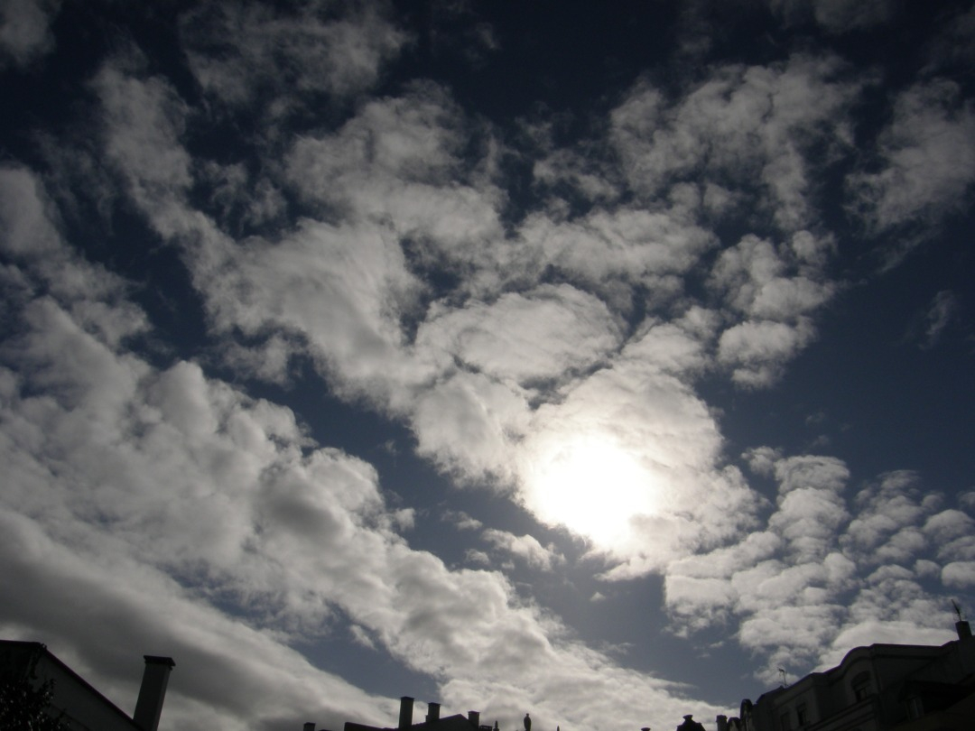 P1251251.JPG