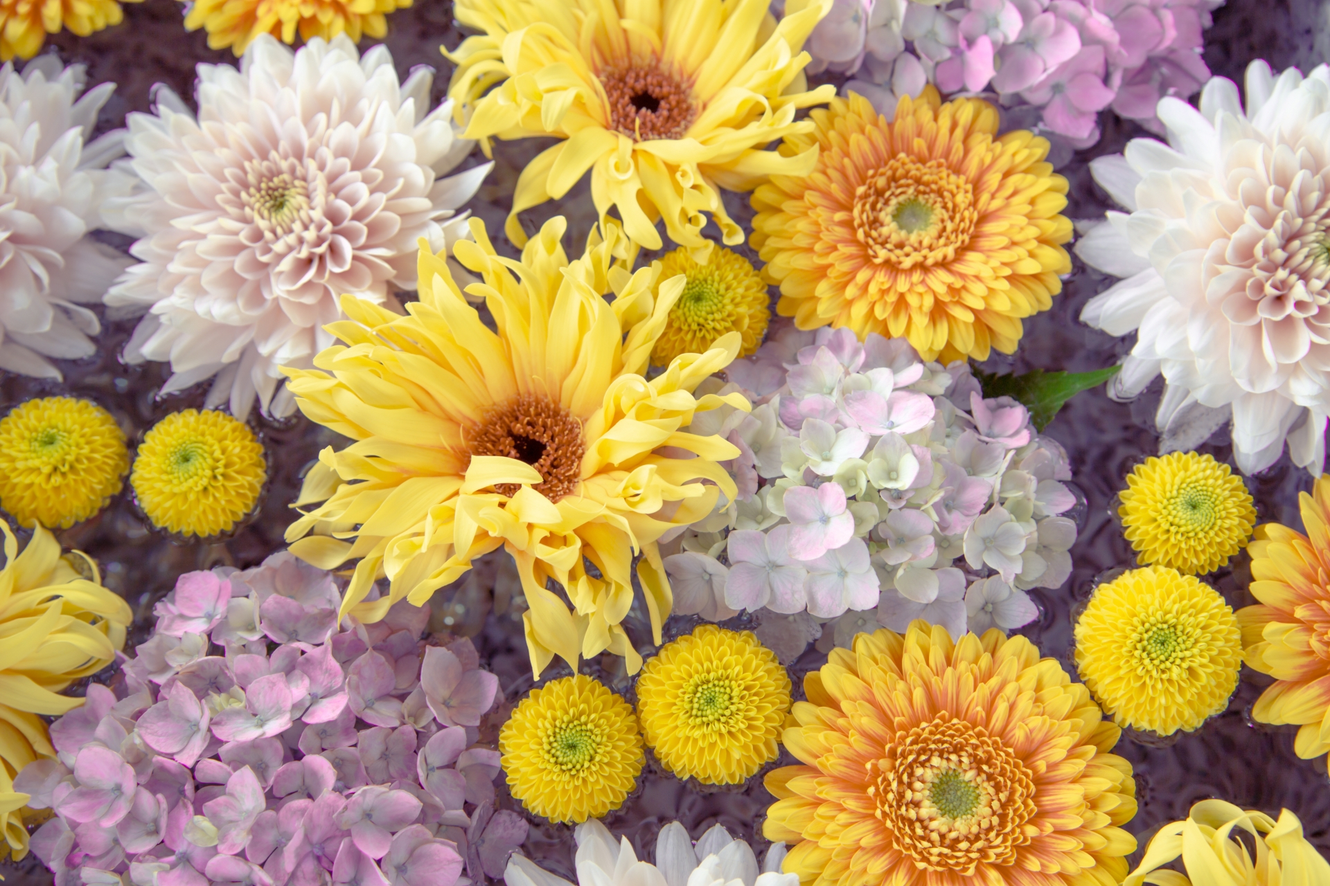 291FA21B-4A94-4080-8BCC-FB52027E82F0.jpeg