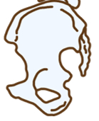 wjr.png