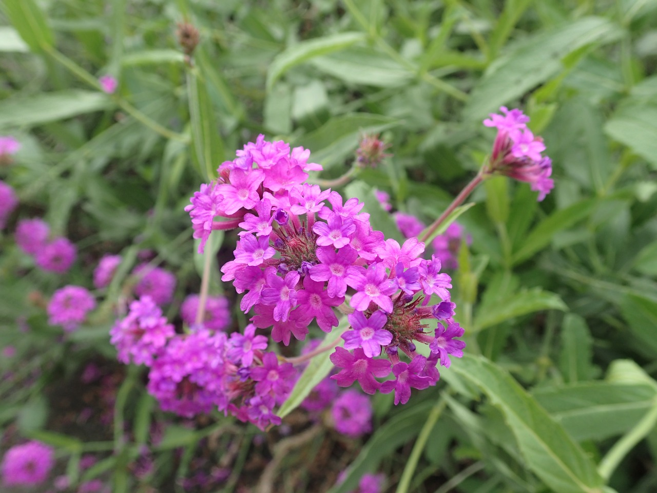 PA050327.JPG