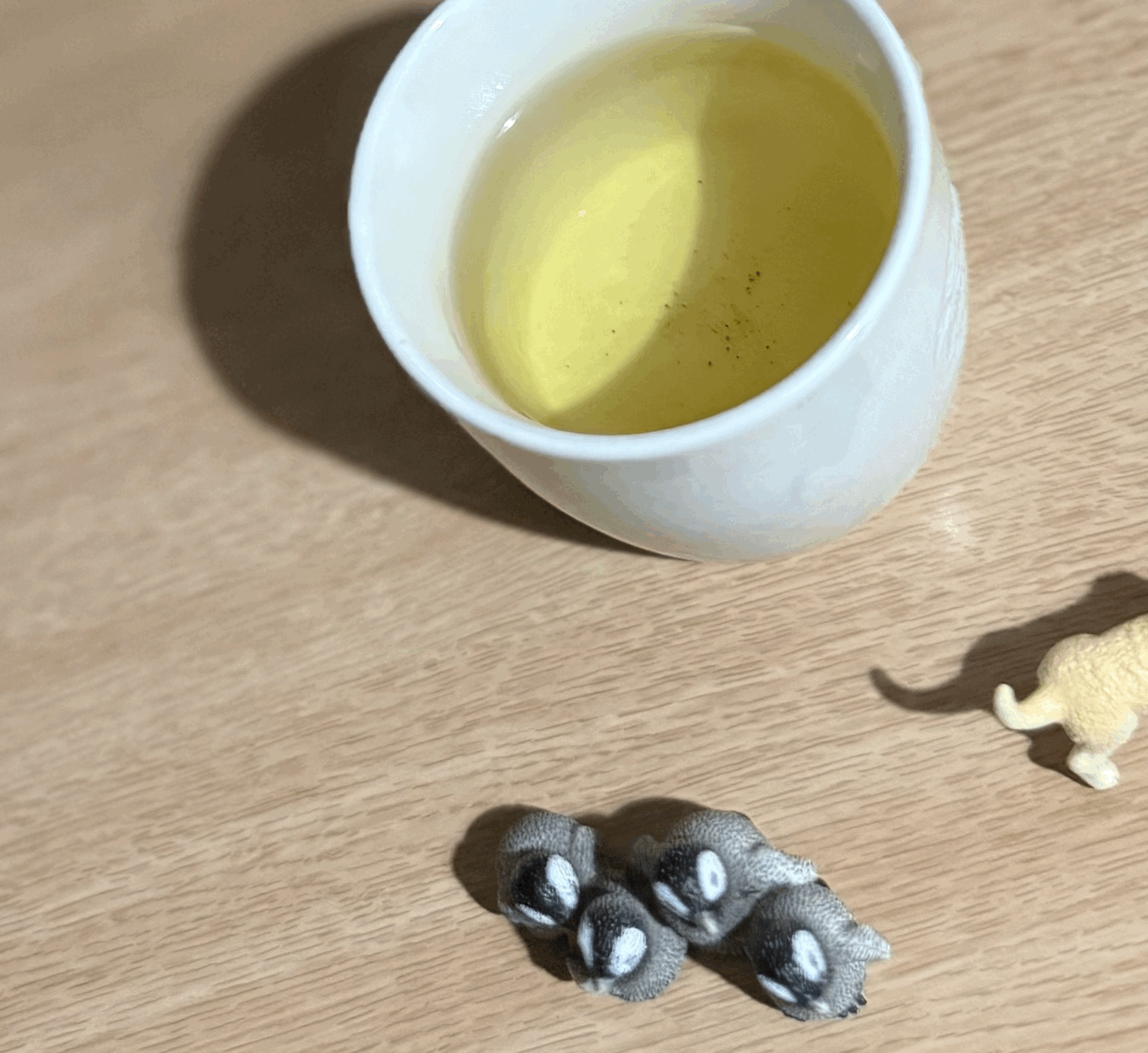 tempImageojt3Ku.gif