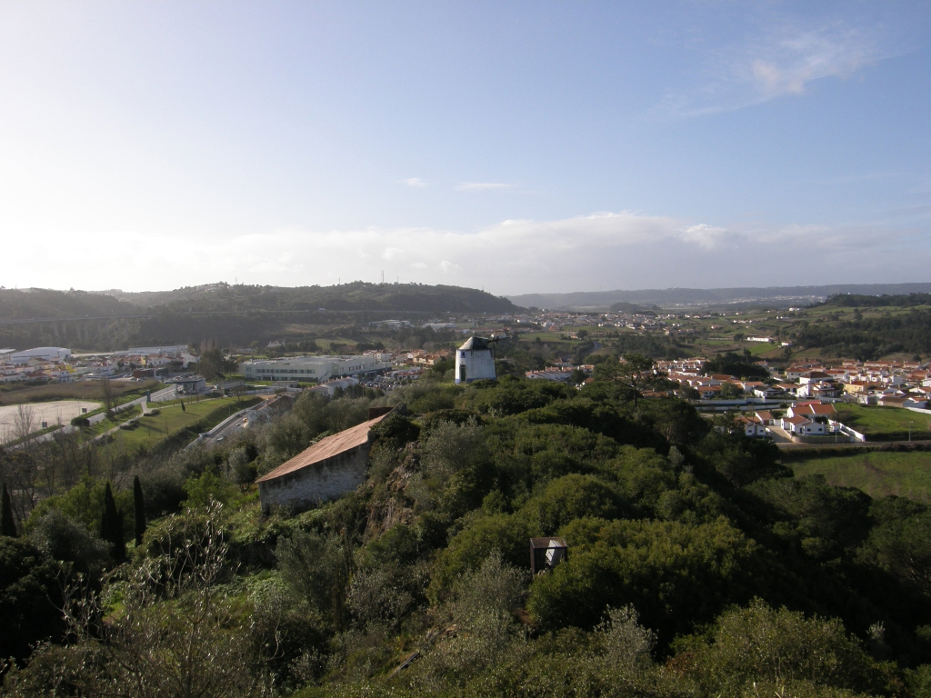 P1261572.JPG