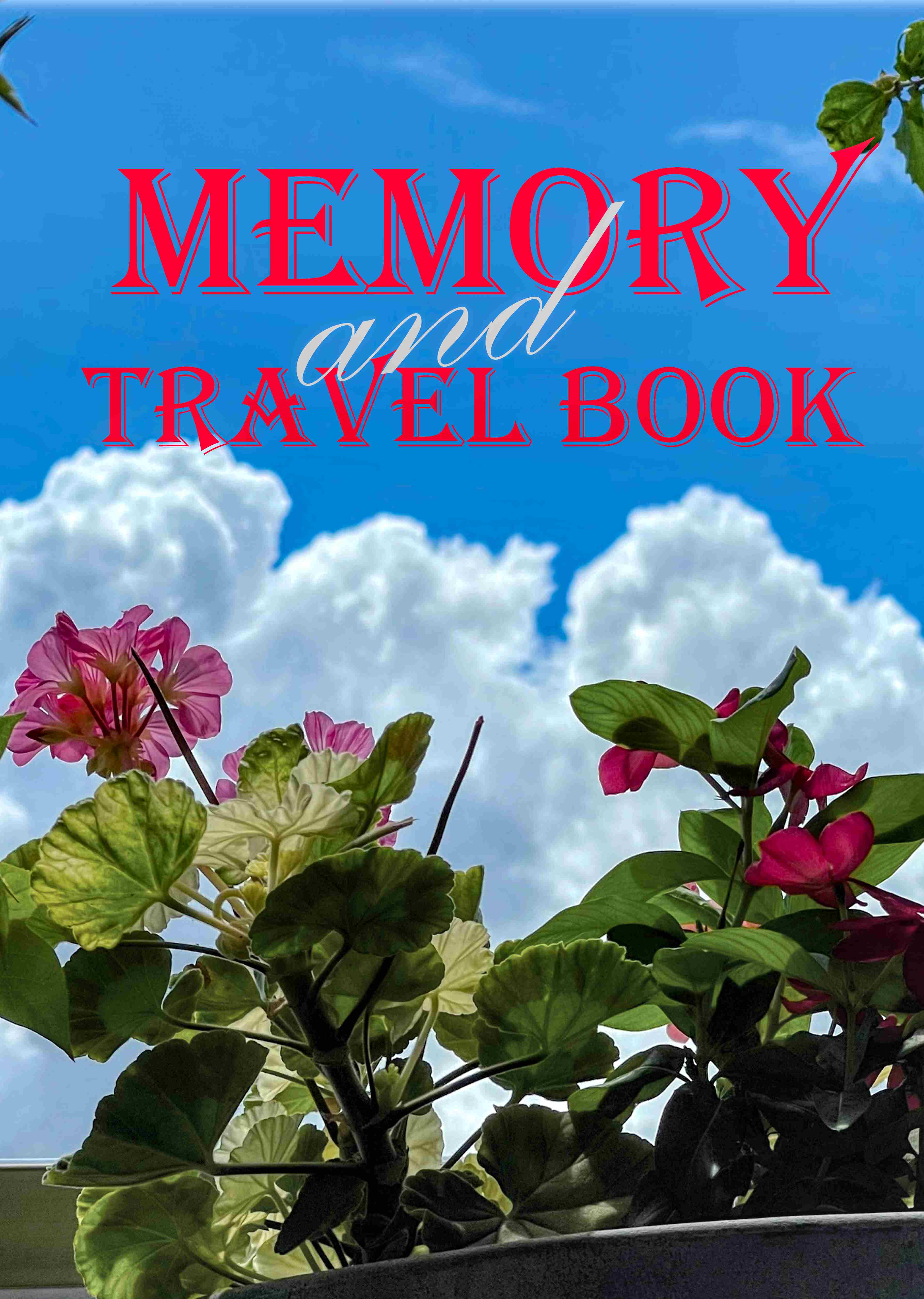 travel.png