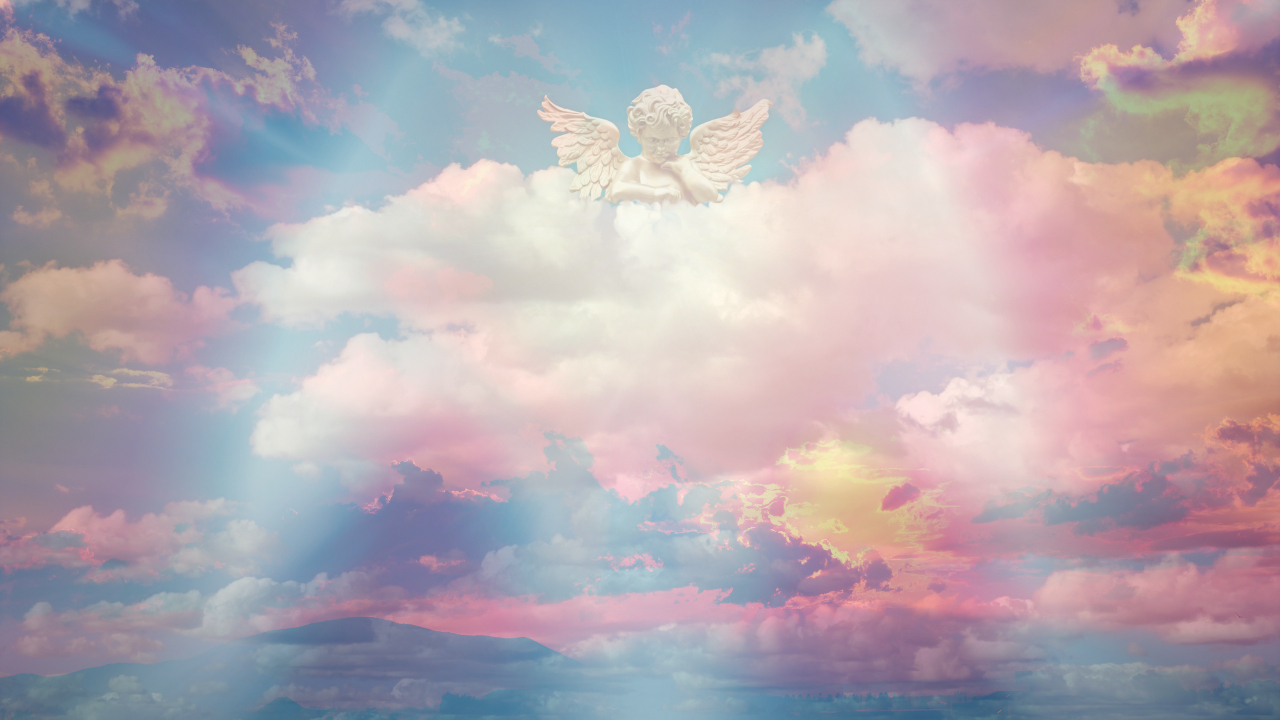 天使 (1).png