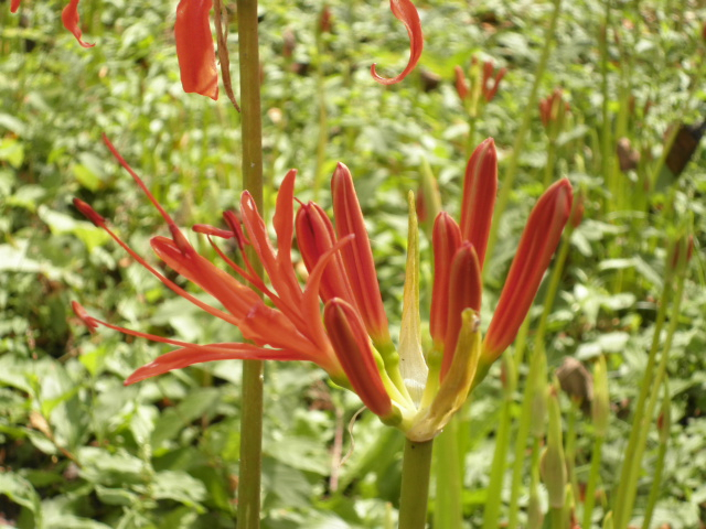 P9250005.JPG
