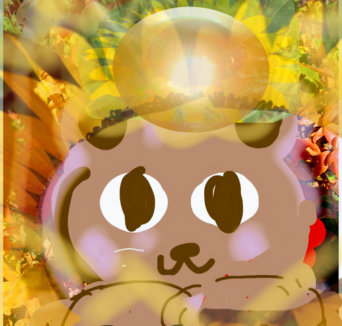 sketch-1663461442082.png
