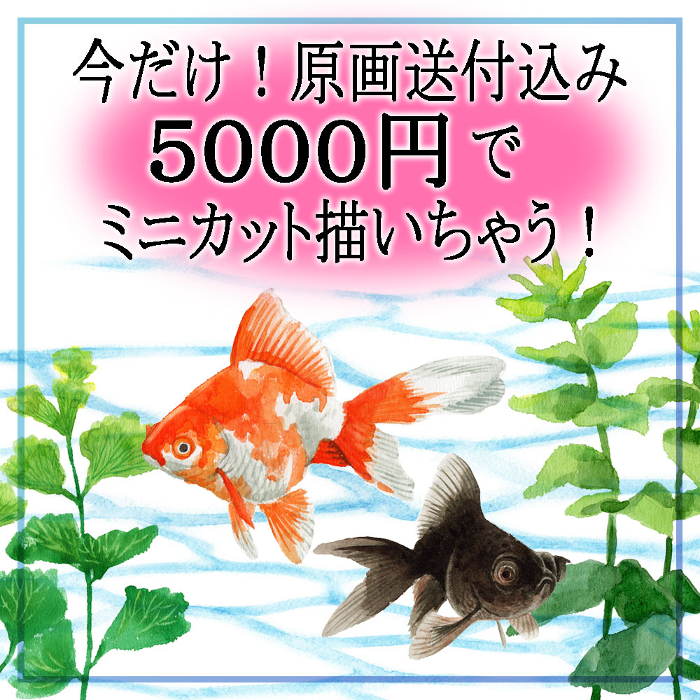 水彩ミニカット夏セール用金魚.jpg