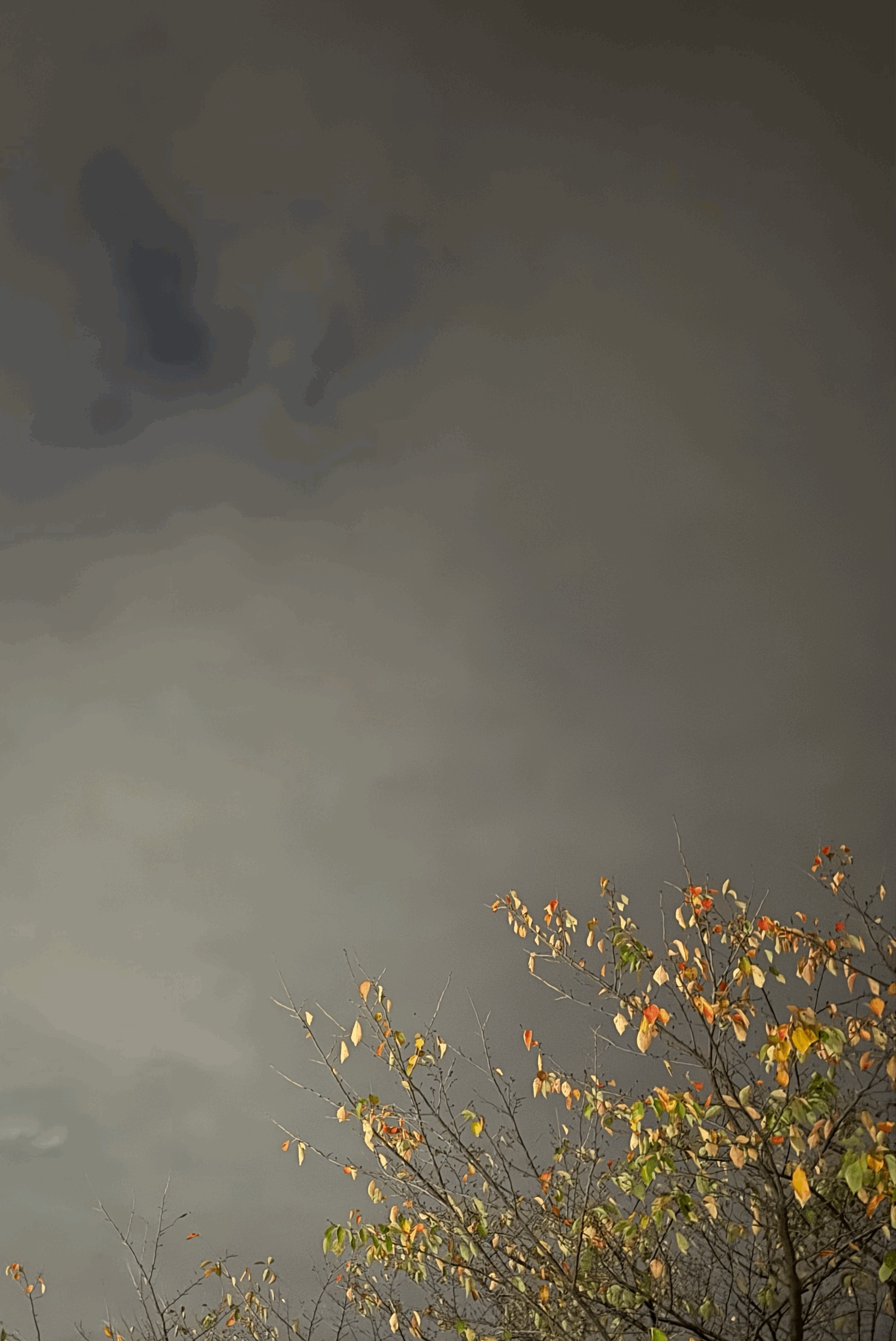 tempImageBJkiR4.gif