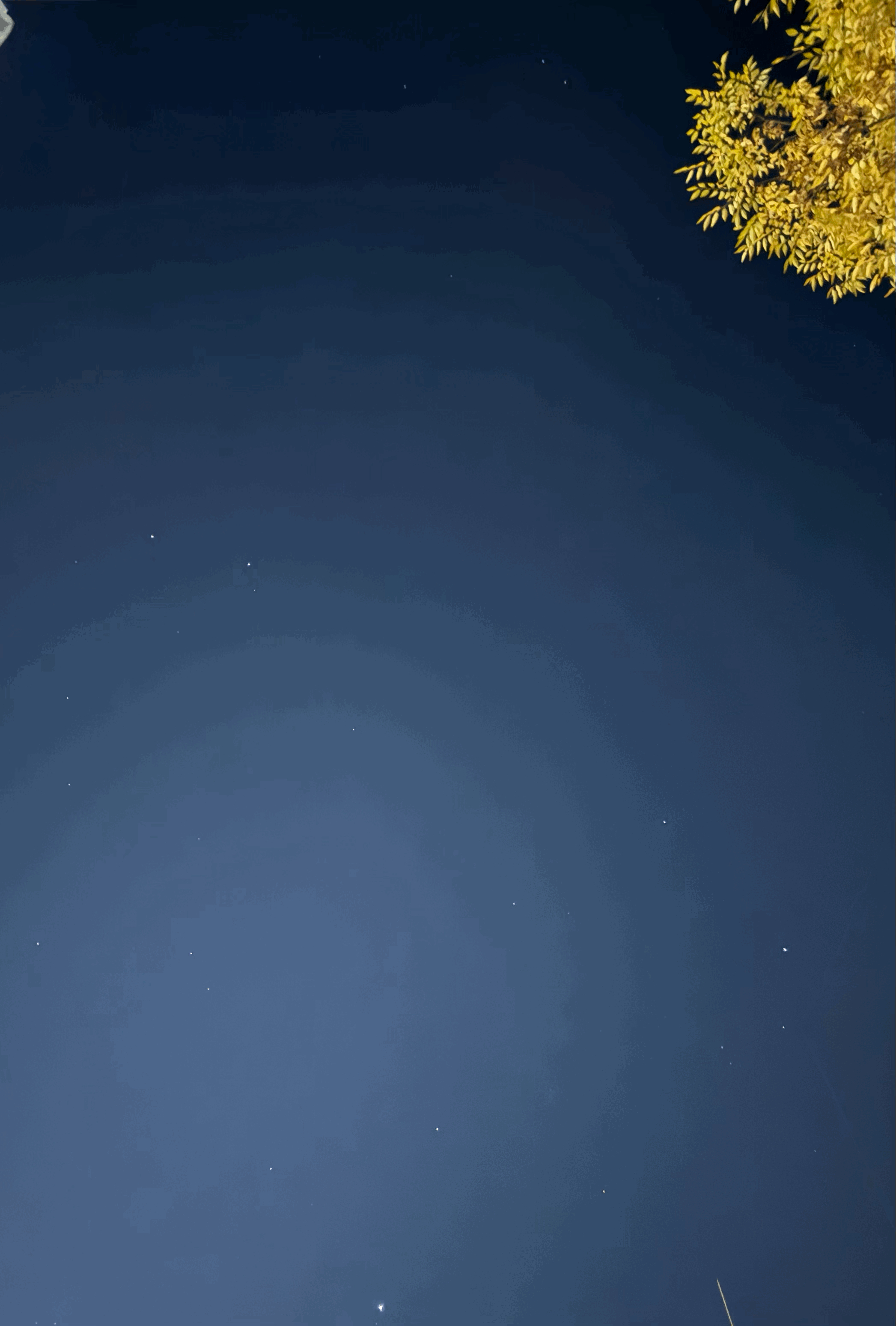 tempImageBjW8T0.gif