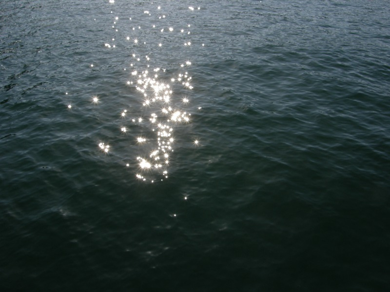PA170257.JPG