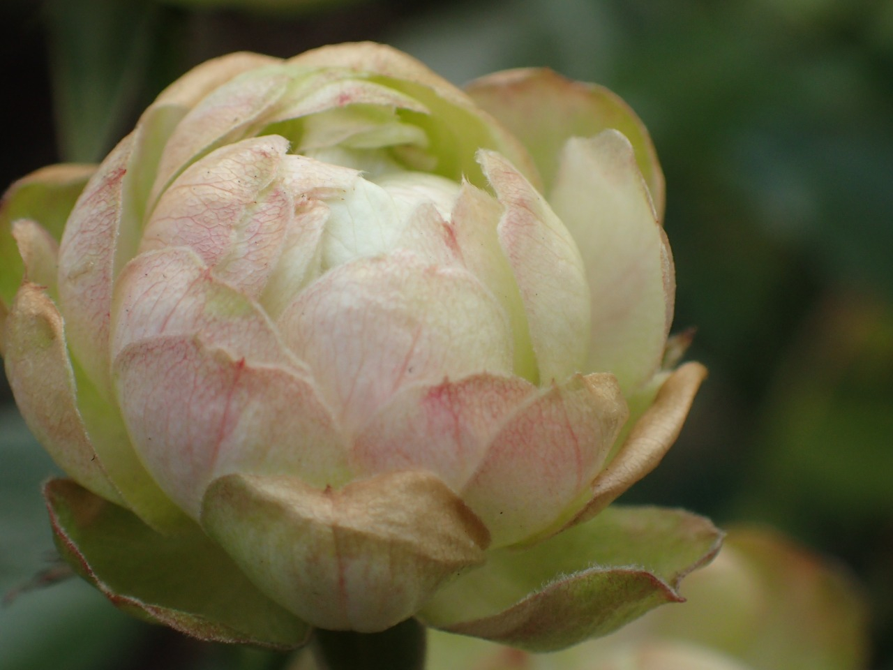 PC220433.JPG