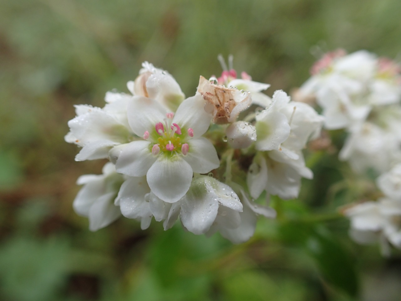 PA050288.JPG