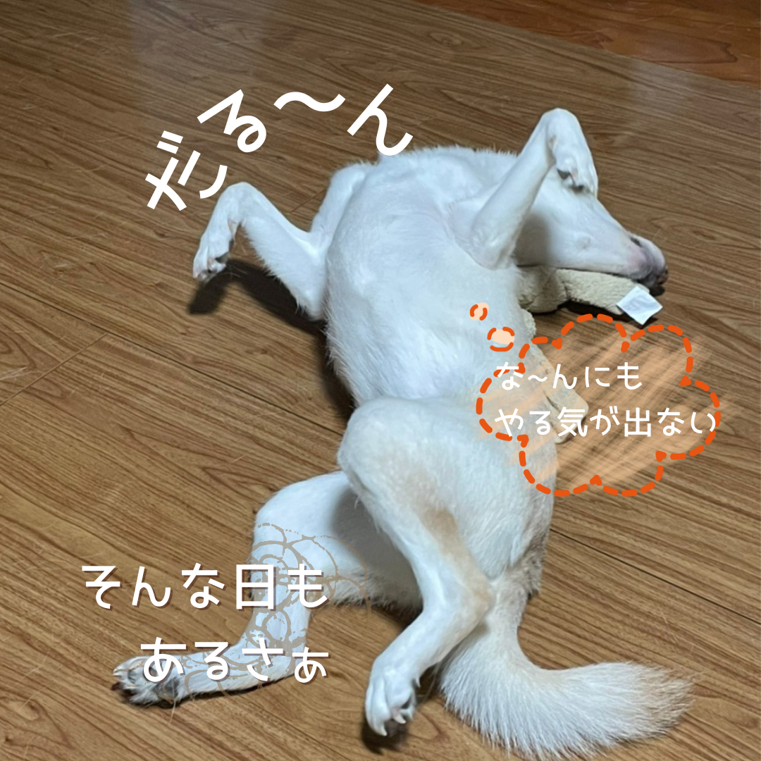 だる～ん (1).png