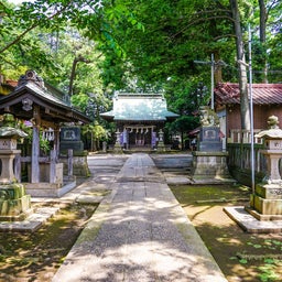 下祖師谷神明社.jpg