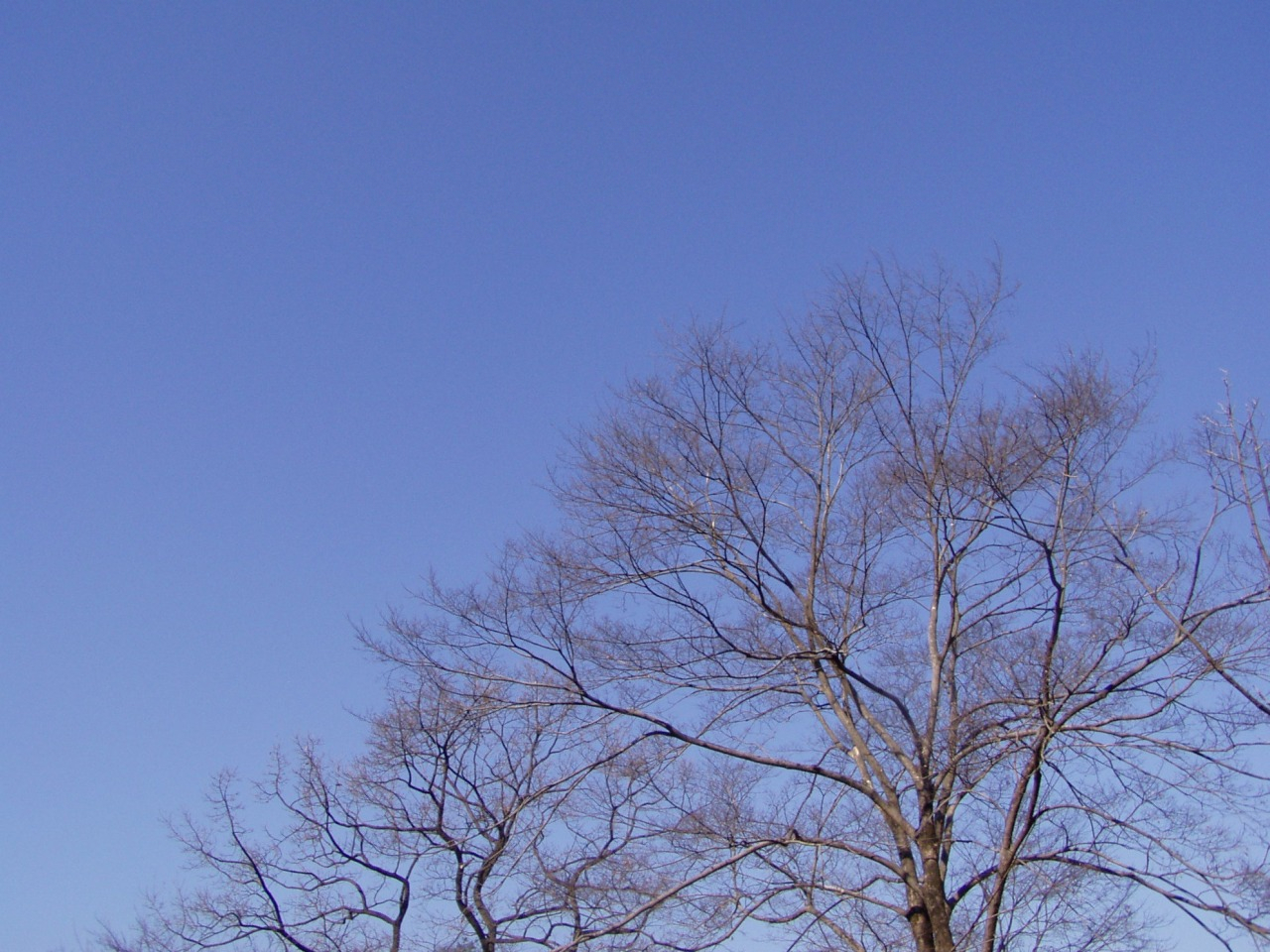 P1010018.JPG