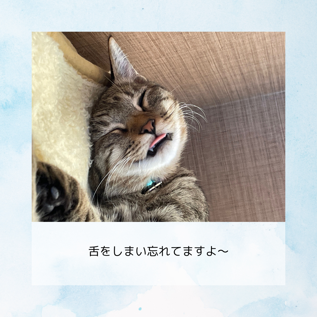 芸人さん (4).png