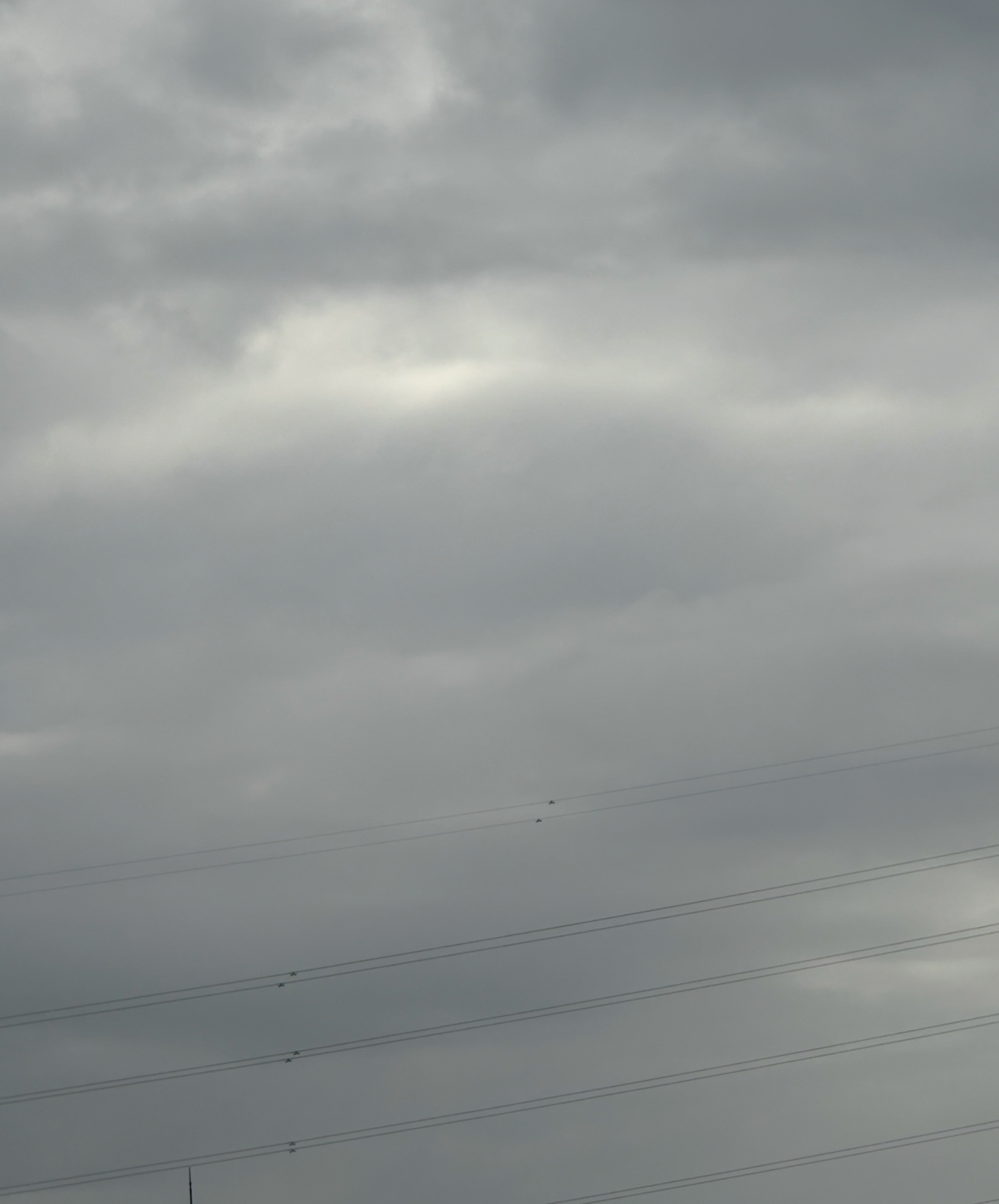 最新の写真を表示 8.png