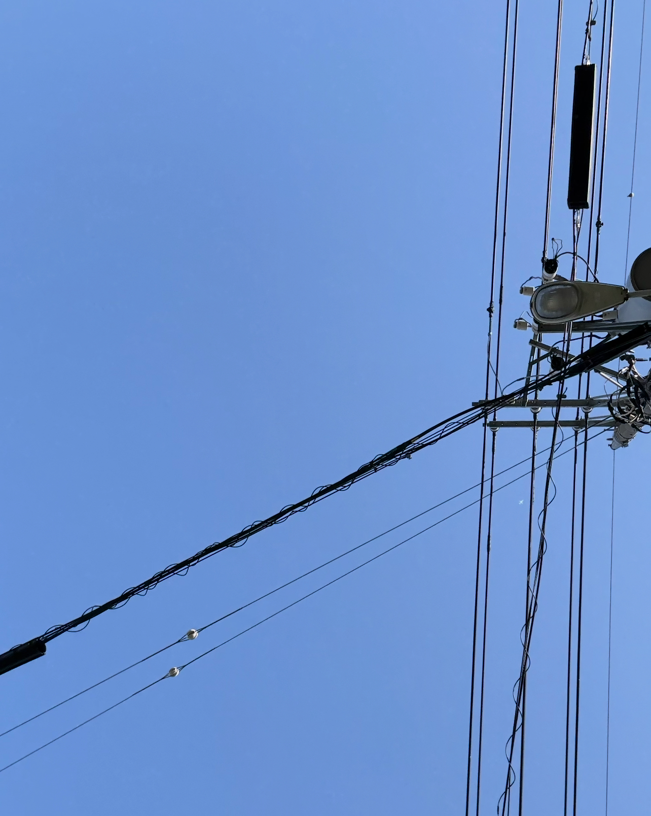 最新の写真を表示 23.png